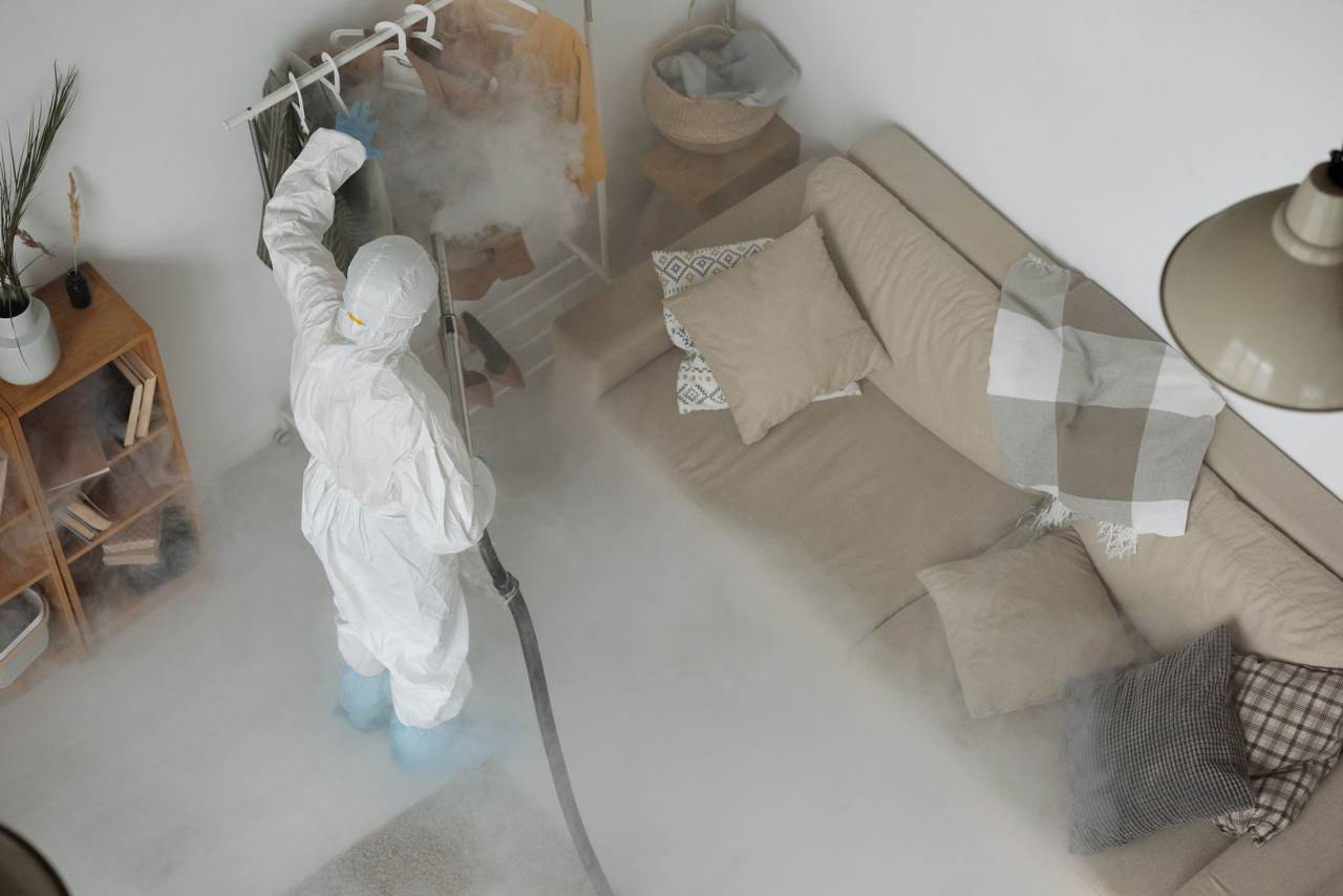 Mosquito control Lucknow