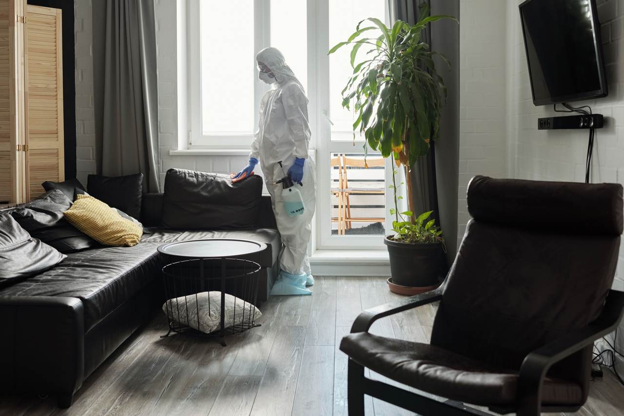 Pest control technician spraying in living room