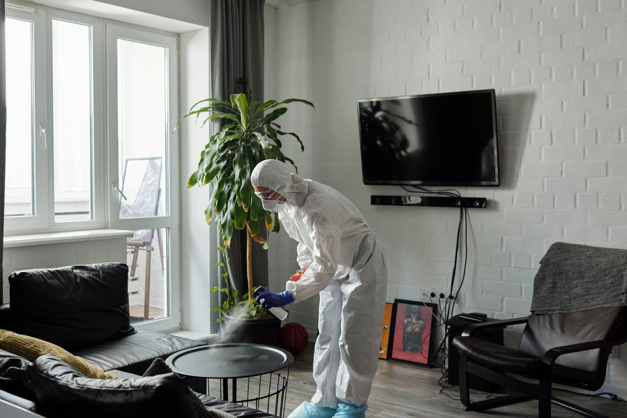 Bed bug treatment Lucknow
