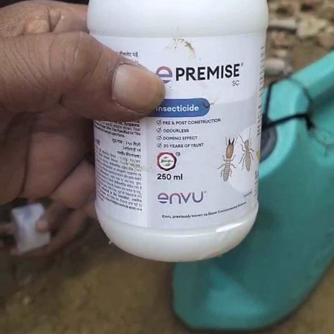 Rodent control Lucknow