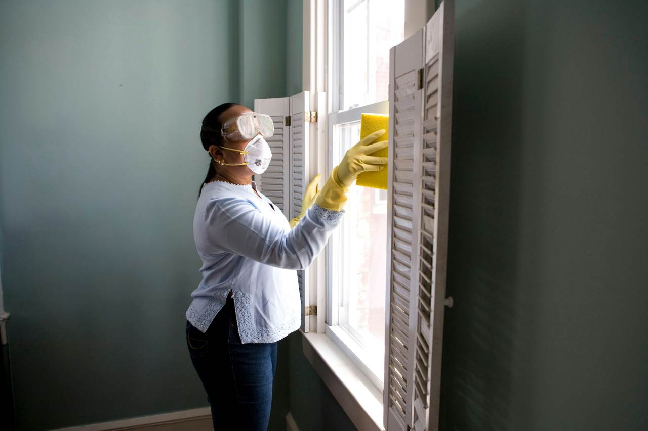 Window and shutter cleaning pest treatment